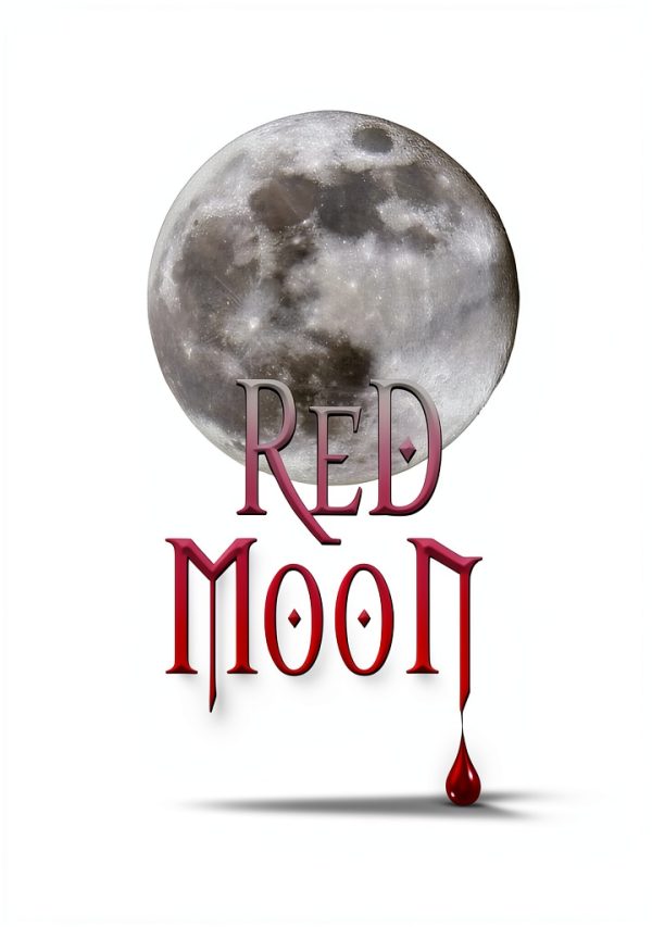 Vampire Files Trilogy Book 2 Young Adult Magical Realism-0